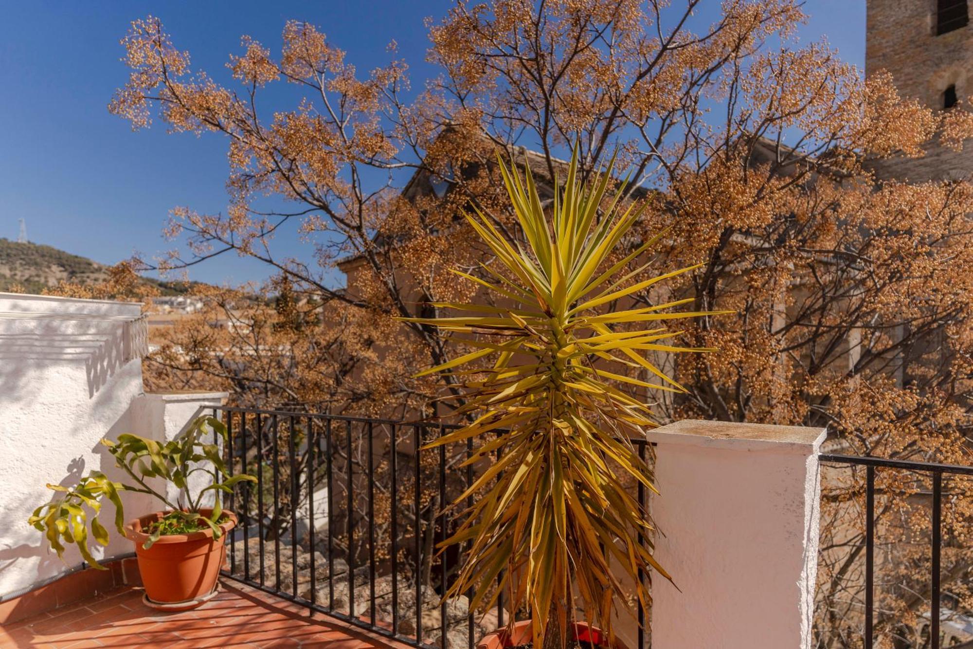 La Casita De La Plaza Villa Granada Exteriör bild